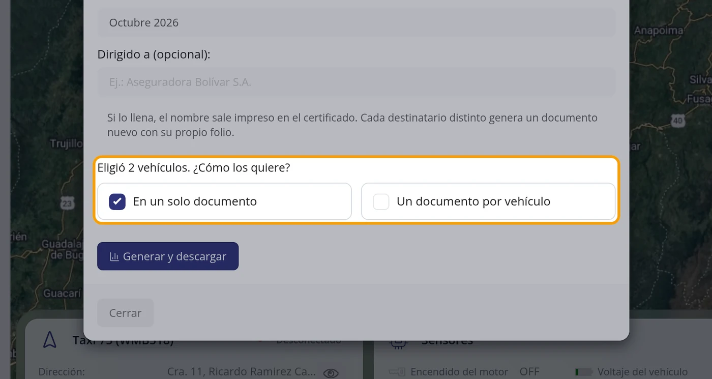 Elija un solo documento o uno por vehículo