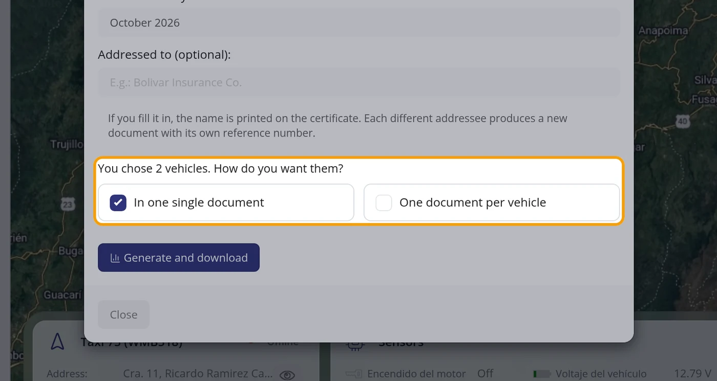 Choose one single document or one per vehicle