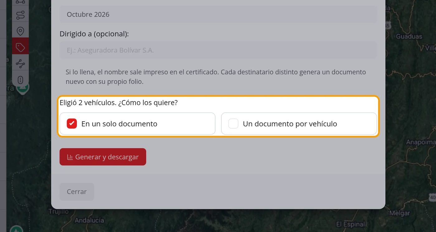 Choose one single document or one per vehicle