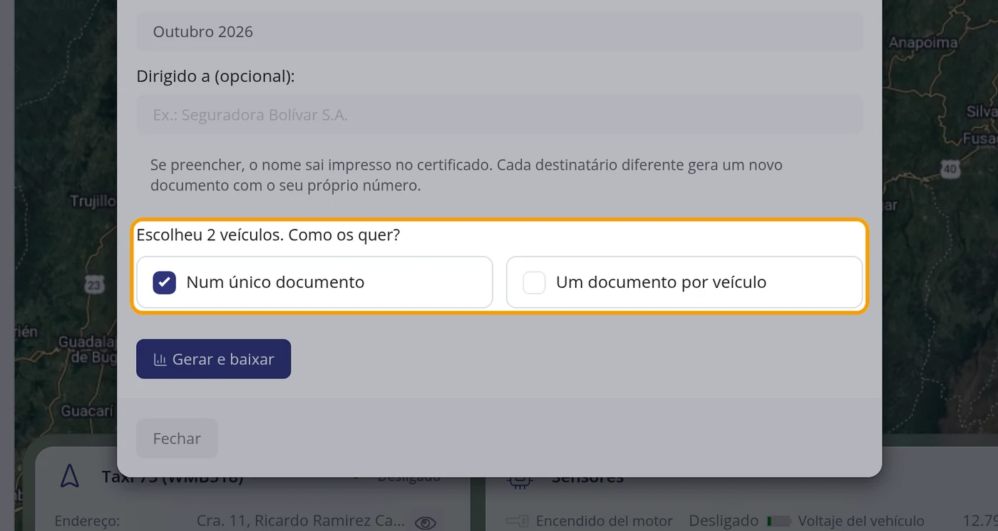 Escolha um só documento ou um por veículo