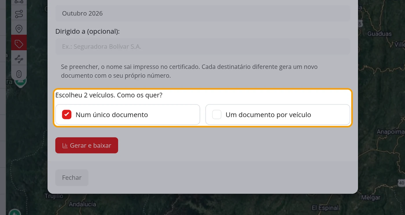 Escolha um só documento ou um por veículo